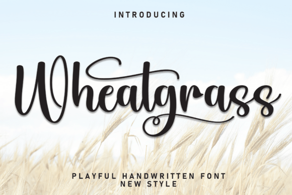 Wheatgrass: A Script Font for Impactful Digital Design